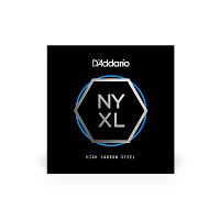 D`ADDARIO NYS024