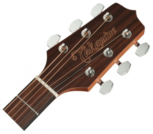 TAKAMINE GD11M NS фото 2